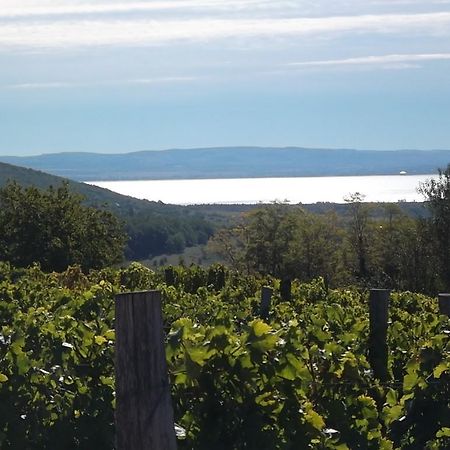 Juhfark Fogadó és Borház Balatoncsicso Kültér fotó